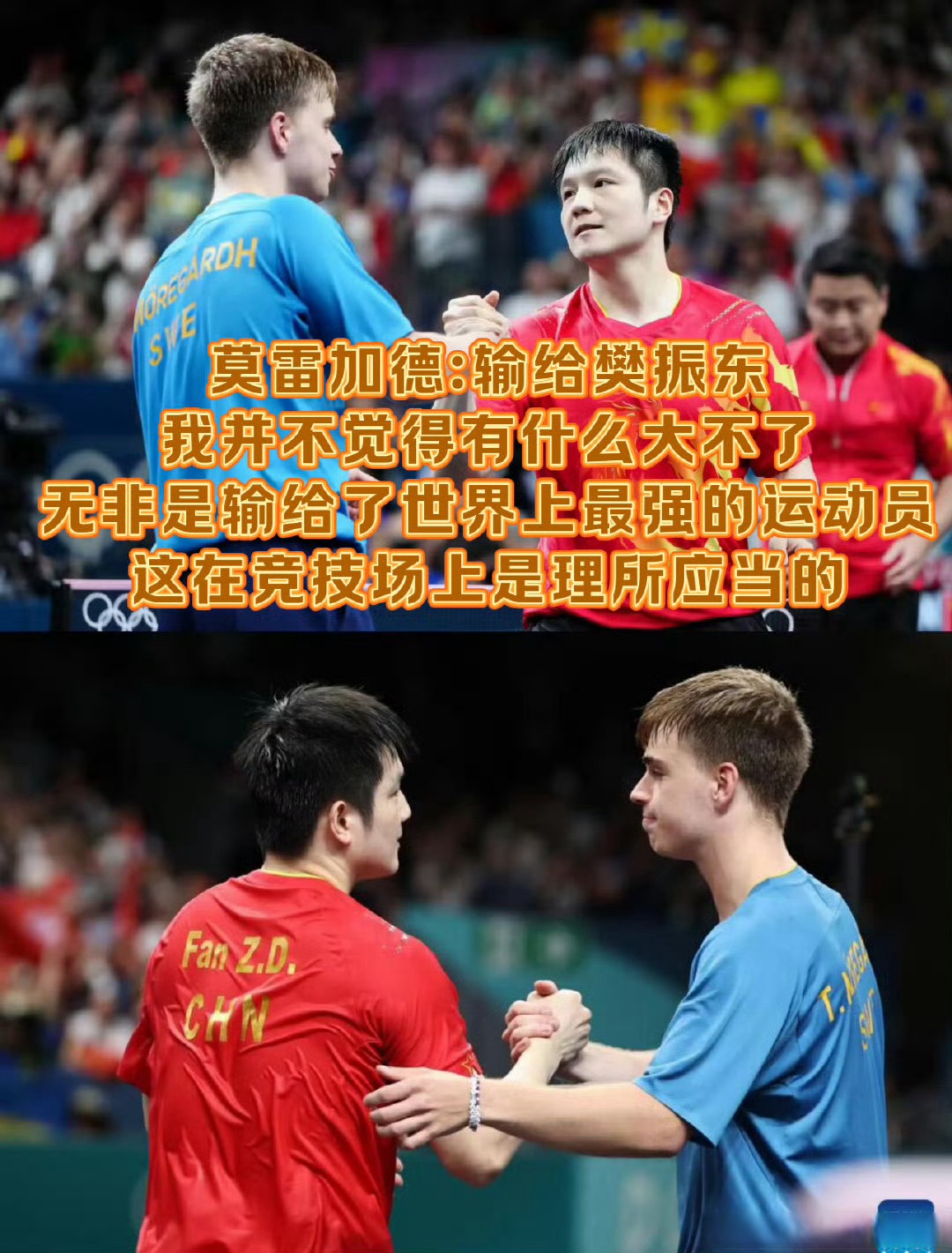 中国队横扫德国队,樊振东带队取胜 中国队横扫德国队,樊振东带队取胜