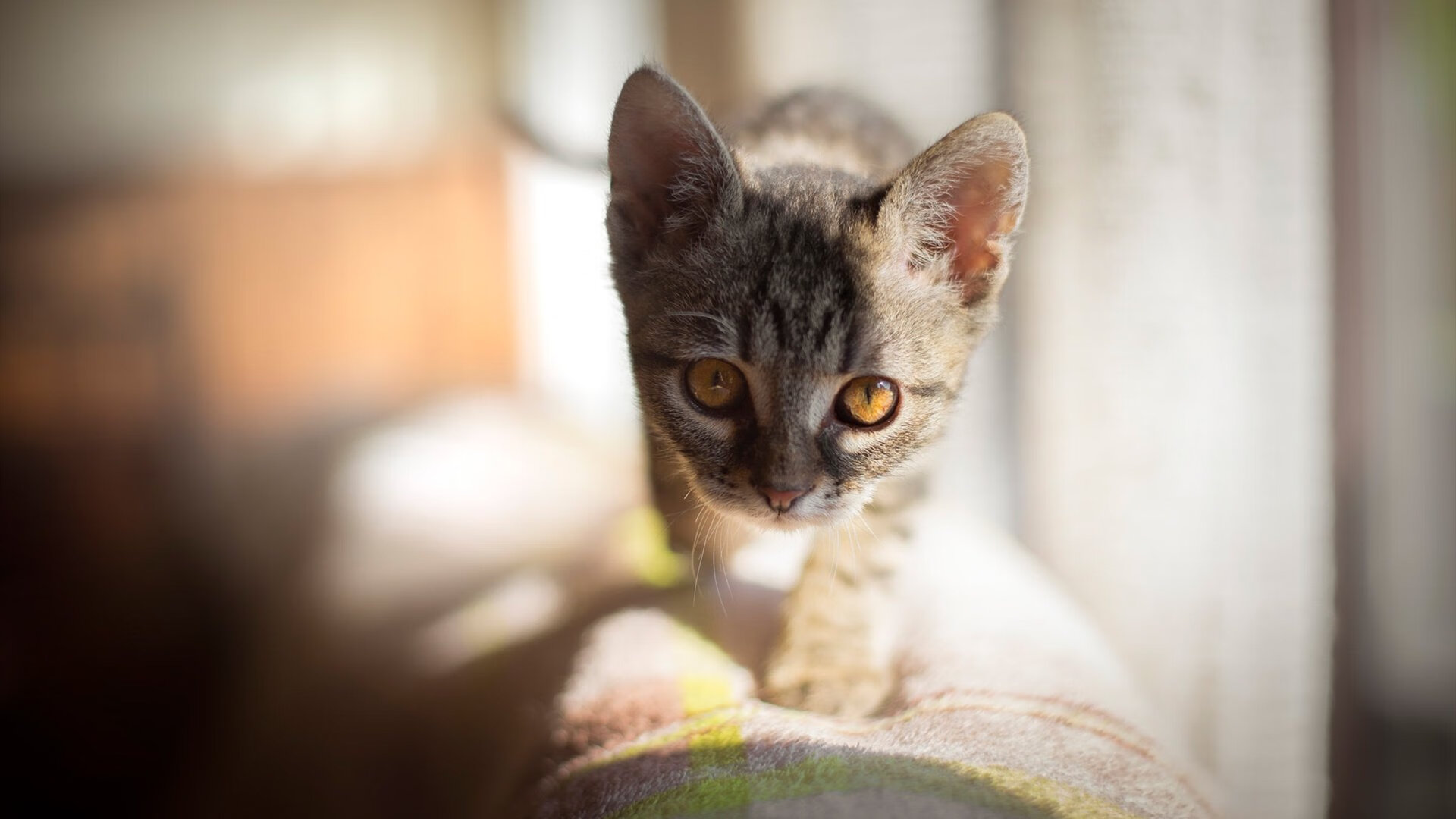 超时空德比,安菲尔德烽火与巴林赛道上的红色闪电