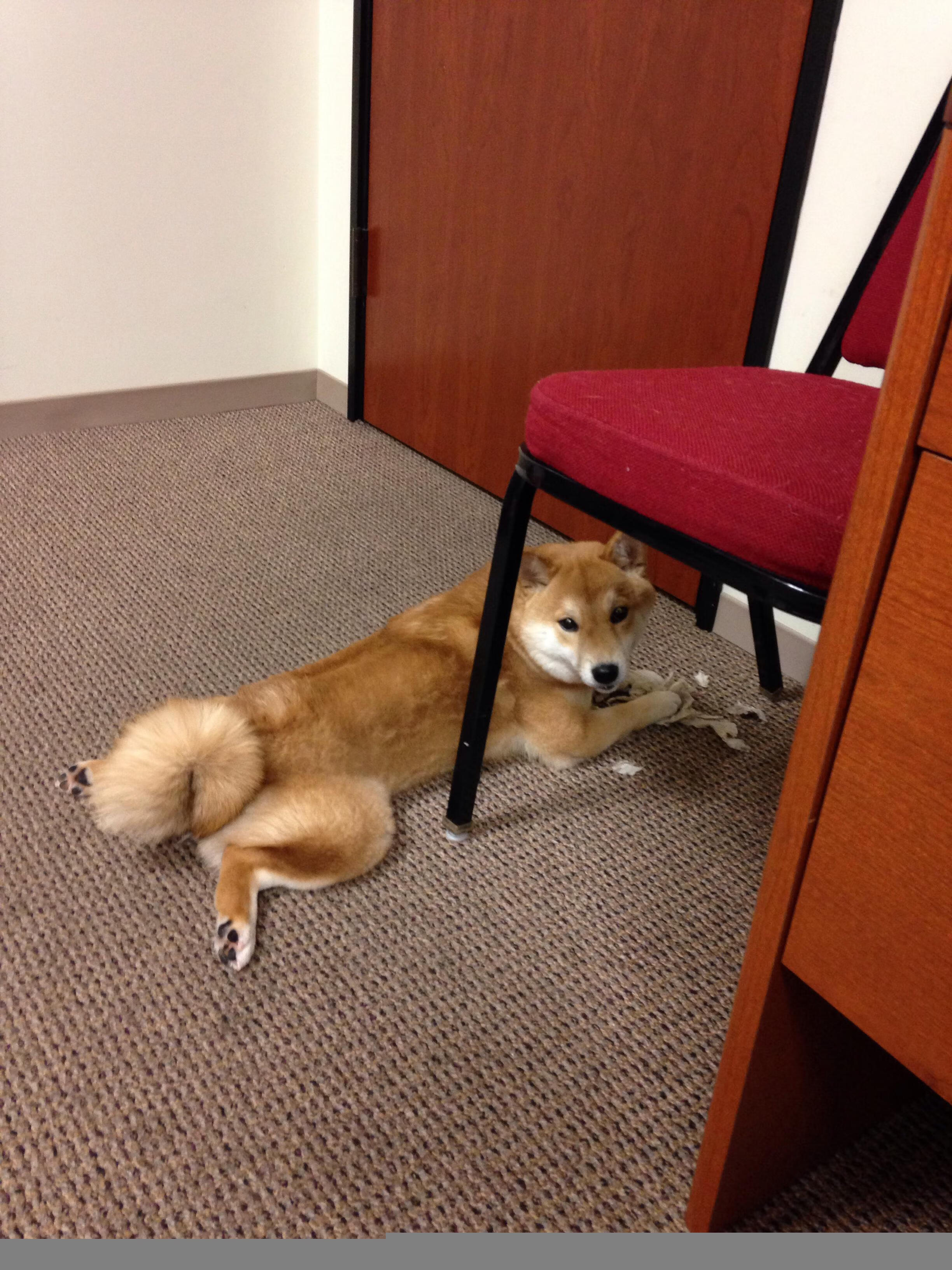 钢铁囚笼与孤勇者，阿森纳的集体意志与帕尔默的个人突围