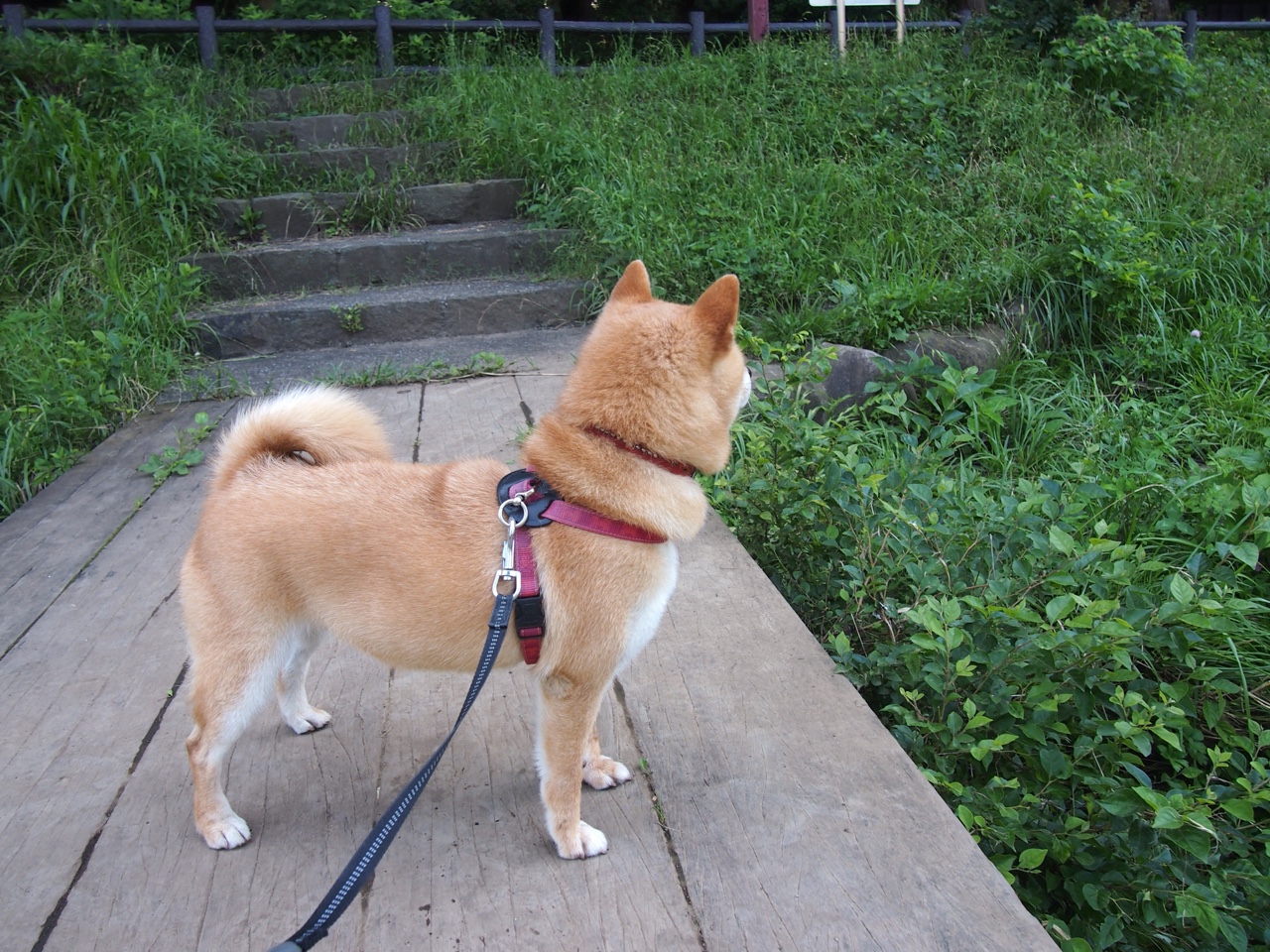 东决之夜，当迪亚斯成为不可复制的命运本身