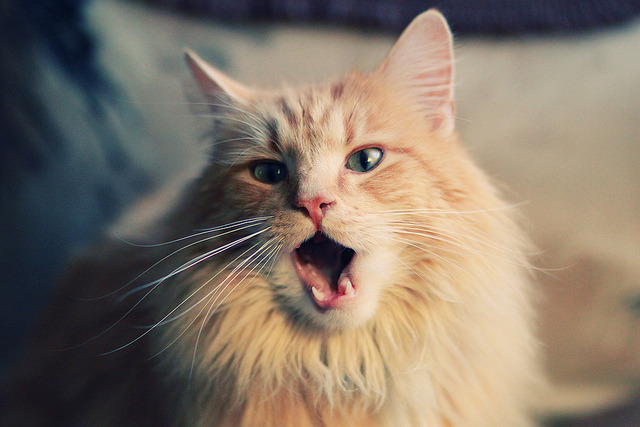 当天才爆发遇上豪门爆冷,体育世界没有永恒定律