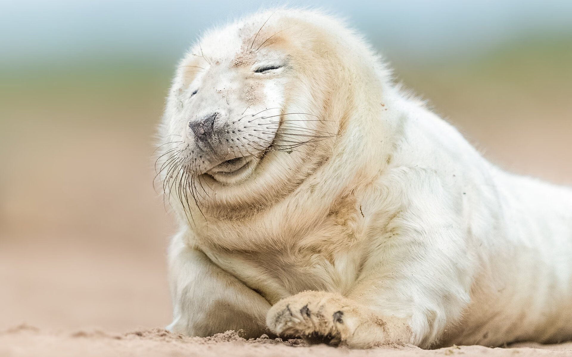 阿劳霍的双面神迹，在毕尔巴鄂织就铁幕，于玻利维亚之巅挥斥方遒