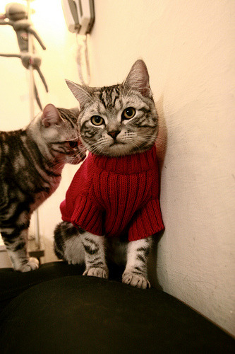 友谊赛火花，牙买加迎战比利亚雷亚尔，萨卡状态火热主宰比赛