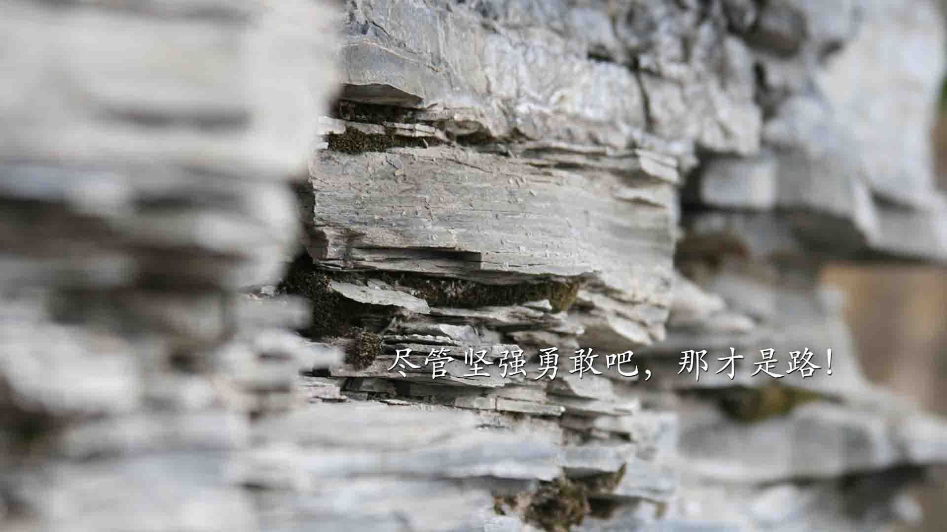 战吼与孤影，当拉齐奥掀翻非洲雄狮，凯恩已成风暴中的灵魂傀儡