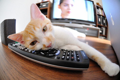 破冰！猛龙正面击溃灰熊，死神回眸惊艳四座