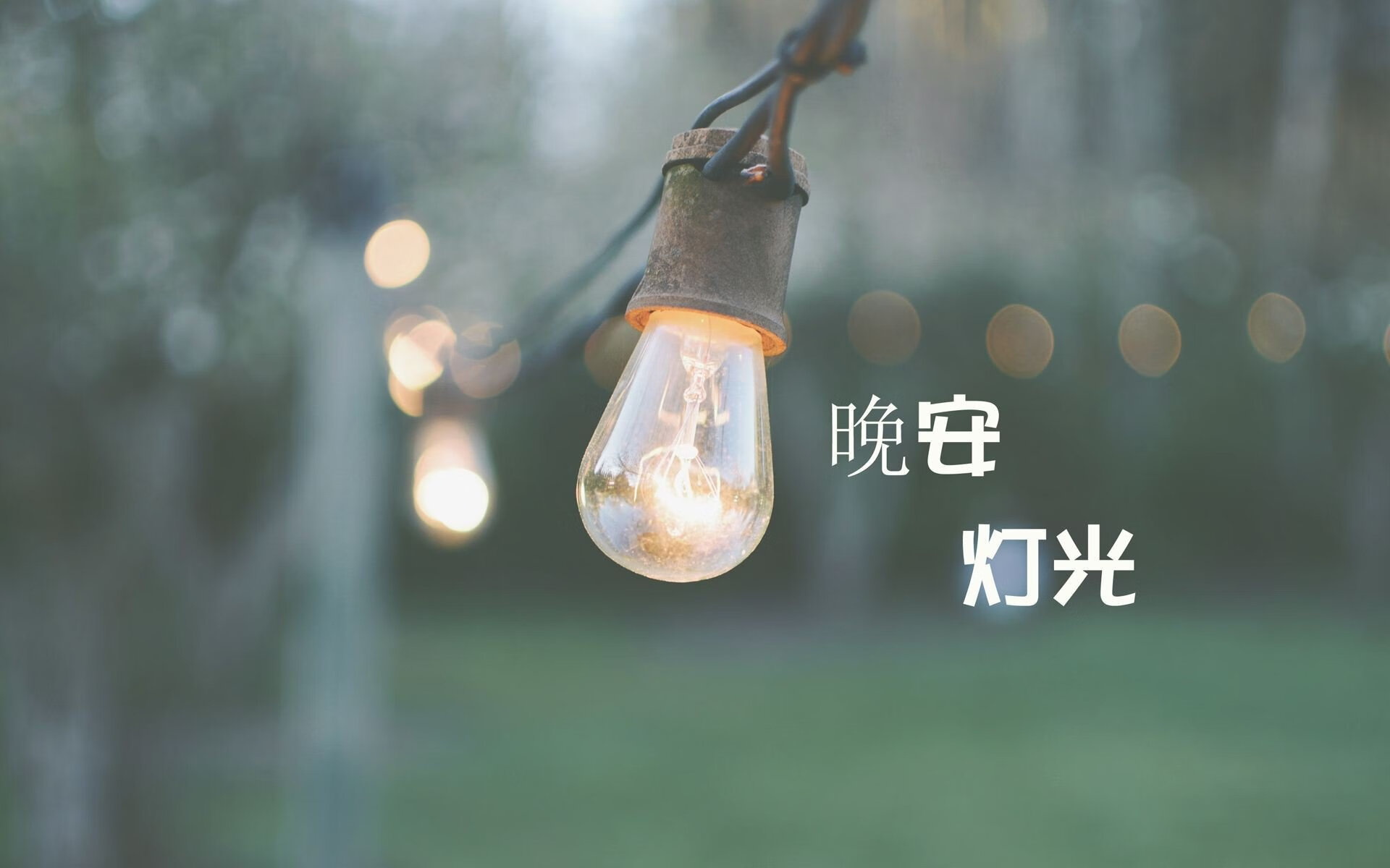 百年之耻与世纪加冕，2026F组那场被红色海啸与B费密码彻底改写的唯一剧本