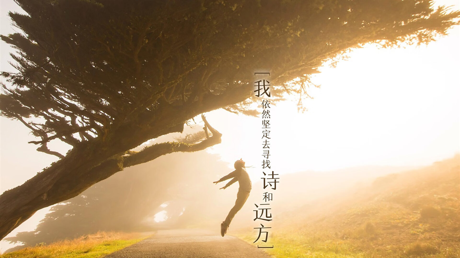 王朝序章，福登美梦成真，补时绝杀匈牙利，全场压制铸就2026世界杯F组唯一神话
