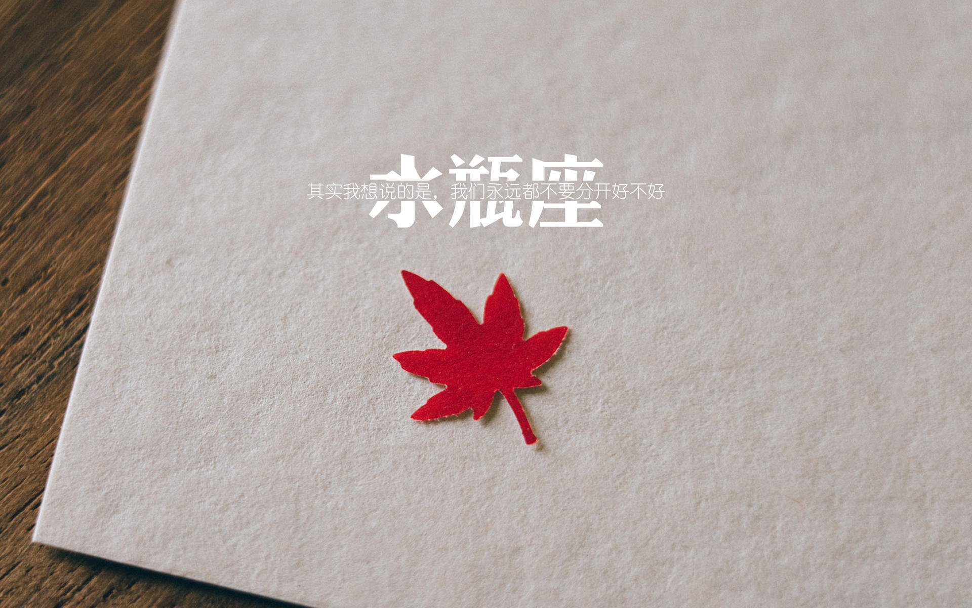 2026世界杯E组的奇迹注脚,当保加利亚的坚韧,遇见莱万的唯一神谕