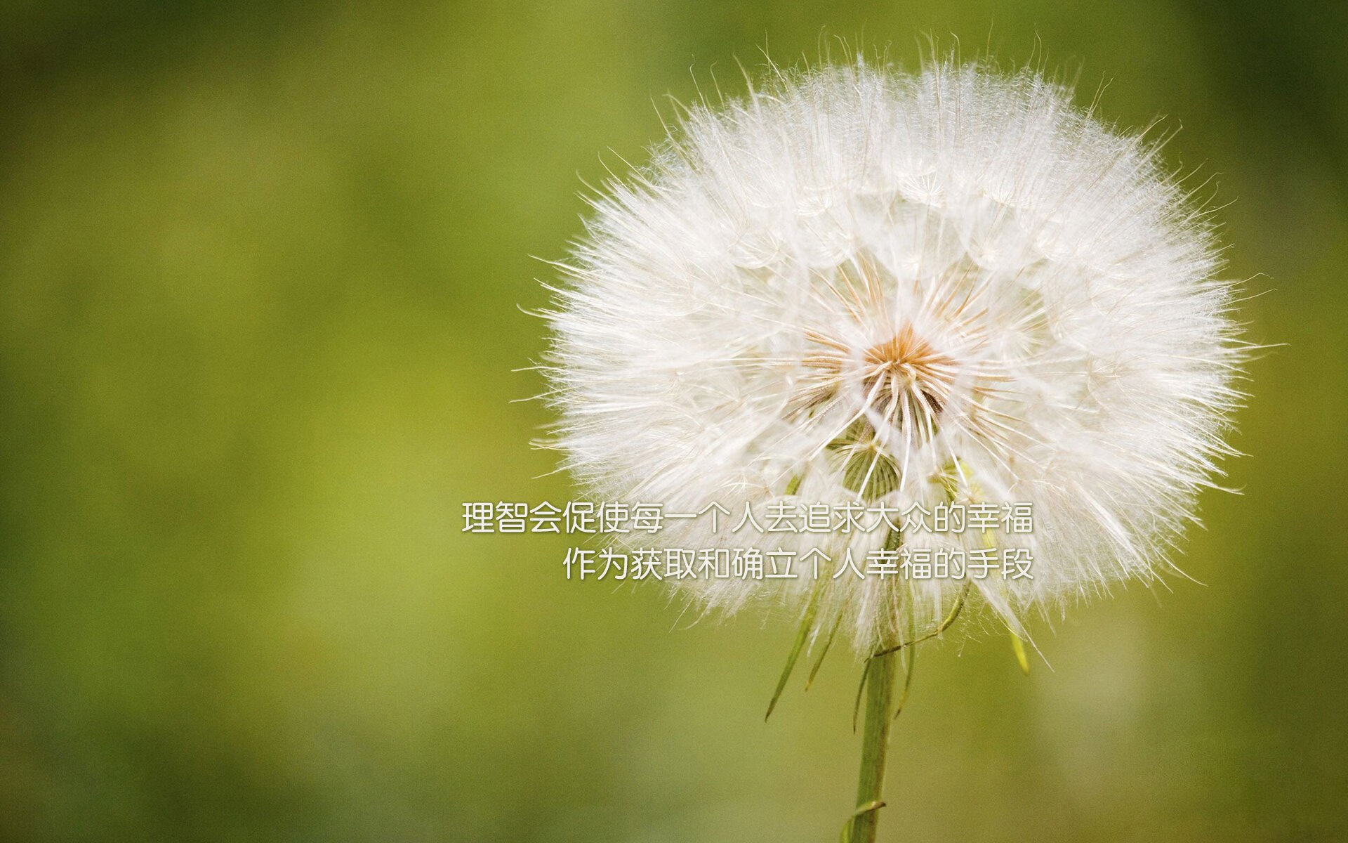 冰与火之歌，当智利的坚韧撞碎西班牙的华丽，维尼修斯用一己之力定义唯一
