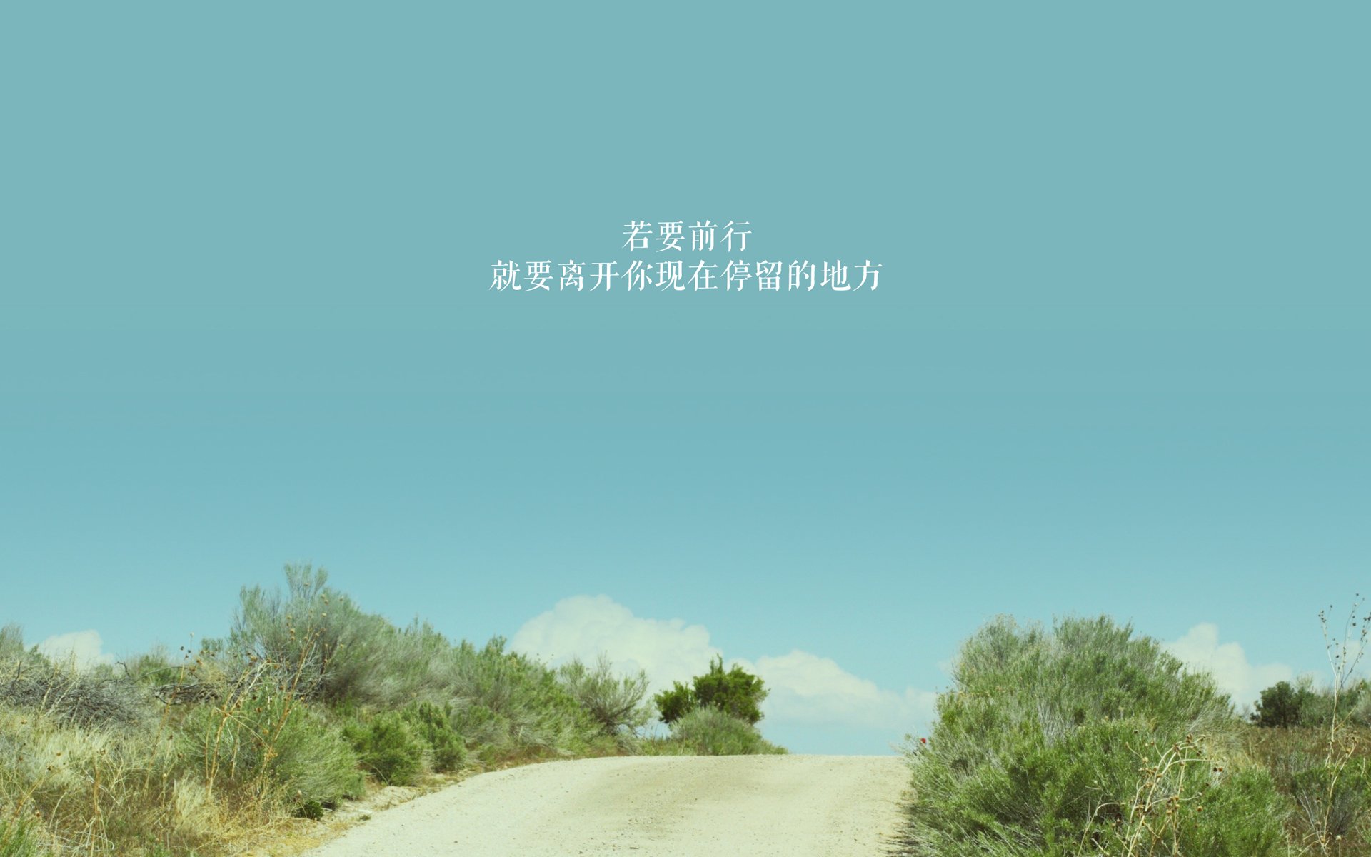 唯一铁幕，范戴克铸就的钢铁防线，如何在2026世界杯H组终结意大利横扫之梦
