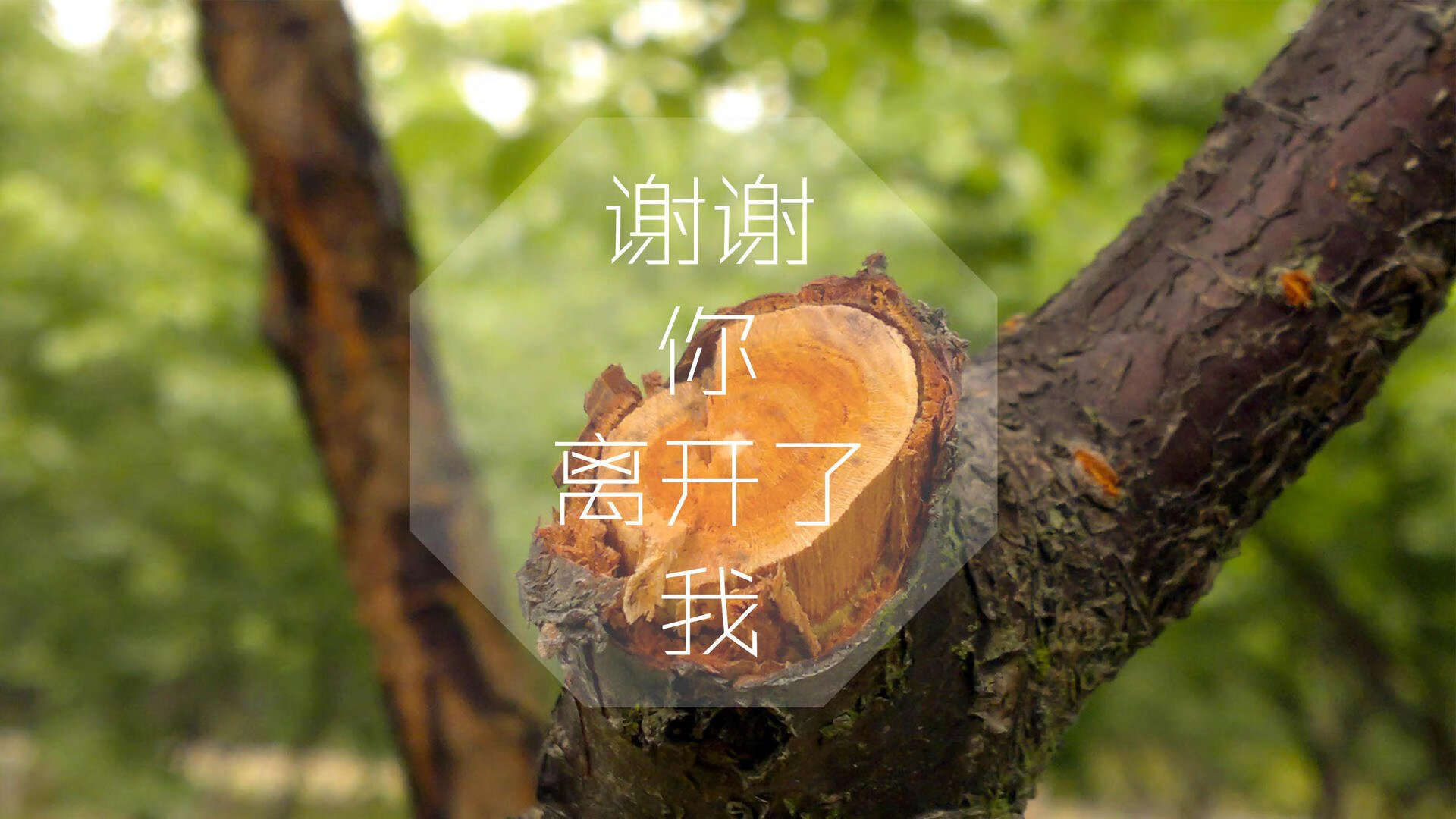 铁幕下的闪电,当德国战车碾过迦太基,吉鲁用一记无解终结定义永恒