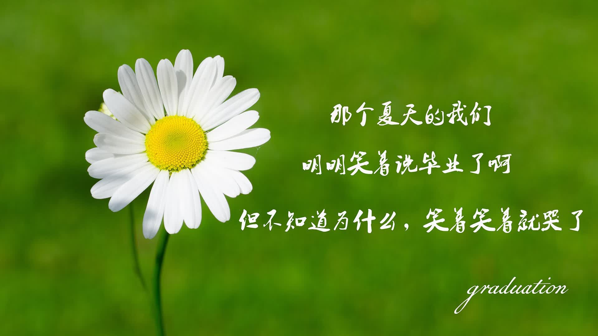 窒息式唯一性,布罗佐维奇织就北非铁幕,摩洛哥全场碾压日本演绎2026世界杯经典压制